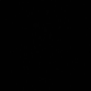 Meet your Posher, Carlos